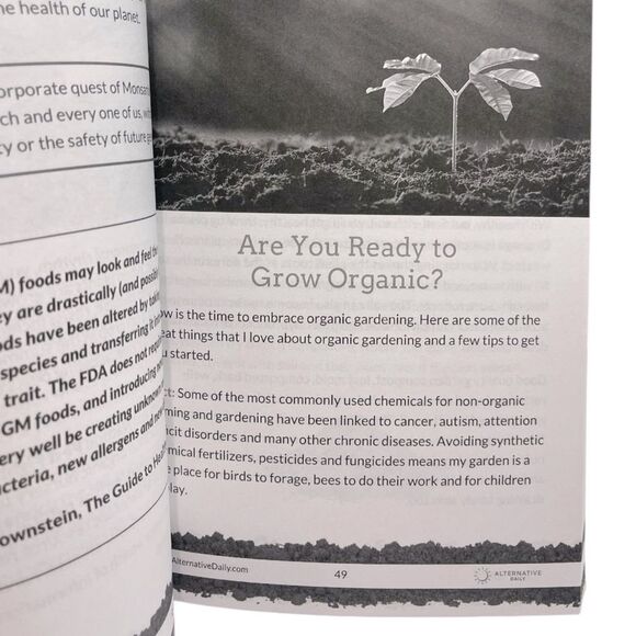 The Secret Garden: Growing Delicious Food For Essential Living - Picture 5 of 7